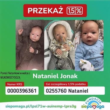 Zdjęcie główne wgrane przez użytkownika