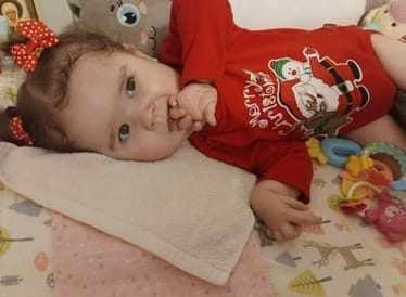 Zdjęcie główne wgrane przez użytkownika