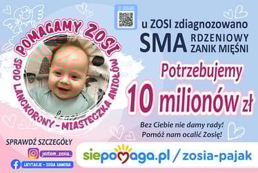 Zdjęcie główne wgrane przez użytkownika