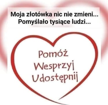 Main photo uploaded by the user