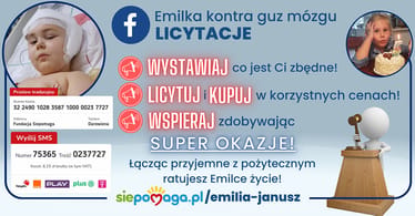 Zdjęcie główne wgrane przez użytkownika