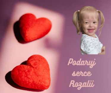 Zdjęcie główne wgrane przez użytkownika