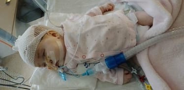 Main photo uploaded by the user