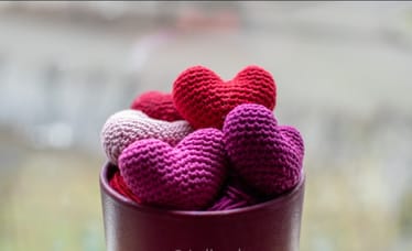 Zdjęcie główne wgrane przez użytkownika