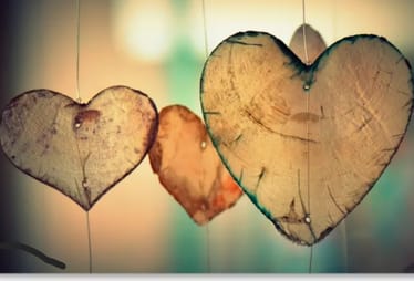 Main photo uploaded by the user