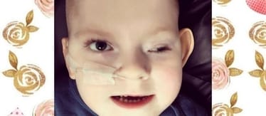 Main photo uploaded by the user