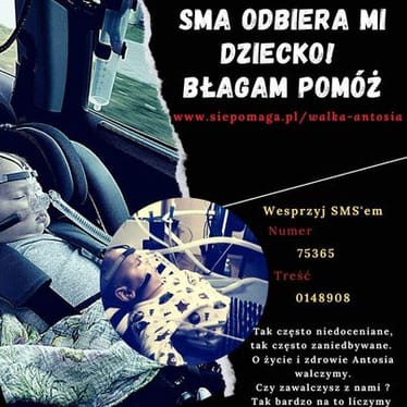 Zdjęcie główne wgrane przez użytkownika