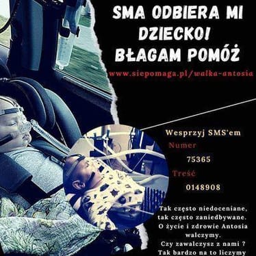 Zdjęcie główne wgrane przez użytkownika