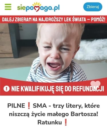 Main photo uploaded by the user