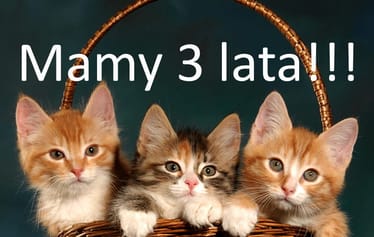 Main photo uploaded by the user