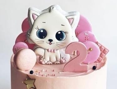 Main photo uploaded by the user