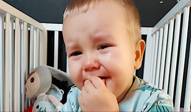 Zdjęcie główne wgrane przez użytkownika