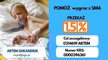 Zdjęcie główne wgrane przez użytkownika