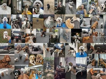 Zdjęcie główne wgrane przez użytkownika