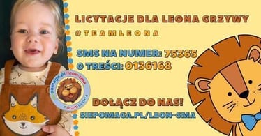 Main photo uploaded by the user