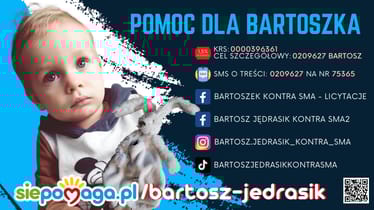 Main photo uploaded by the user