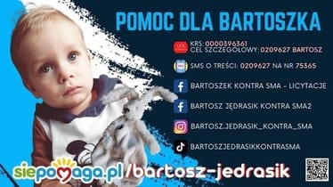 Zdjęcie główne wgrane przez użytkownika