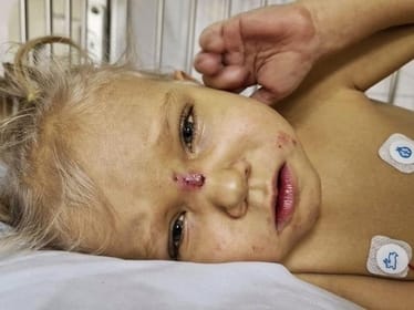 Zdjęcie główne wgrane przez użytkownika