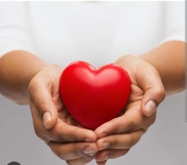 Zdjęcie główne wgrane przez użytkownika