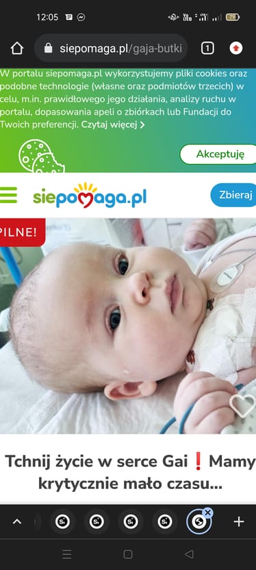 Zdjęcie główne wgrane przez użytkownika