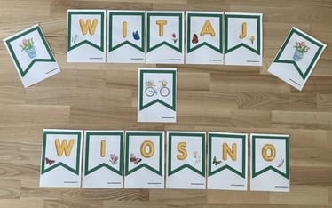 Zdjęcie główne wgrane przez użytkownika