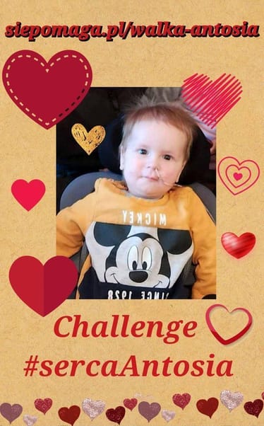 Main photo uploaded by the user