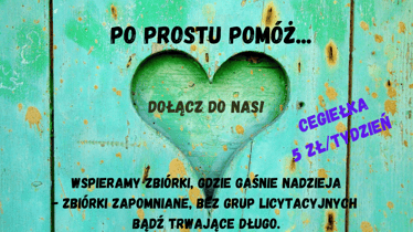 Main photo uploaded by the user