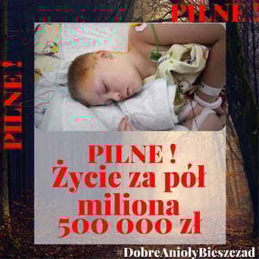 Main photo uploaded by the user