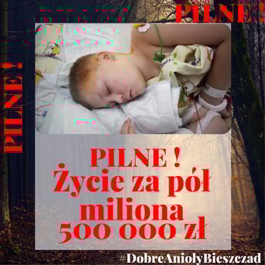 Main photo uploaded by the user