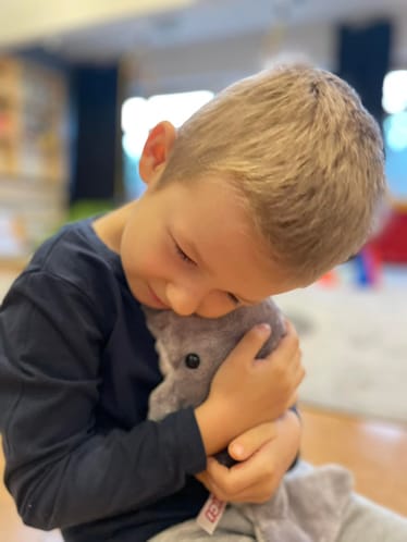 Zdjęcie główne wgrane przez użytkownika