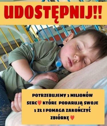 Zdjęcie główne wgrane przez użytkownika