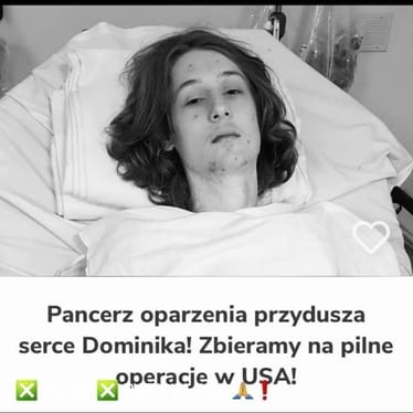 Zdjęcie główne wgrane przez użytkownika