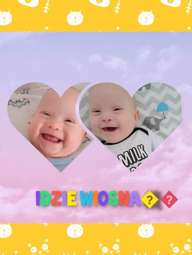 Main photo uploaded by the user