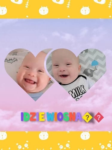 Zdjęcie główne wgrane przez użytkownika