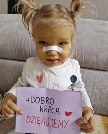 Zdjęcie główne wgrane przez użytkownika