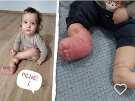 Zdjęcie główne wgrane przez użytkownika