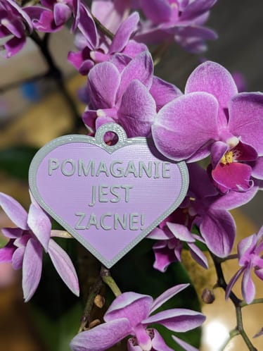 Main photo uploaded by the user