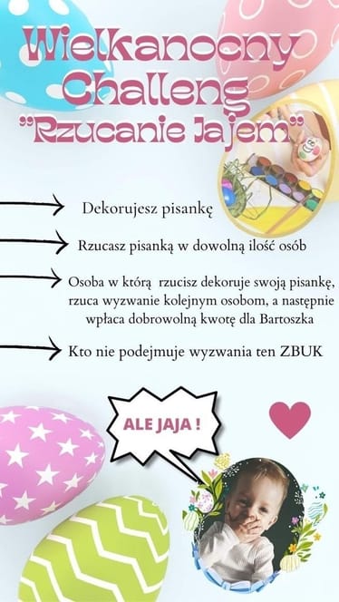 Main photo uploaded by the user