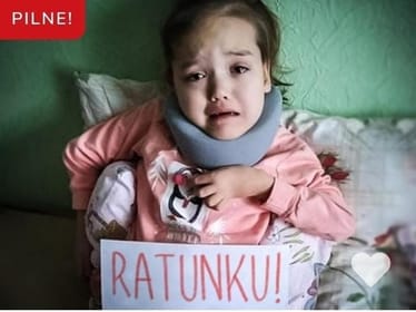 Zdjęcie główne wgrane przez użytkownika