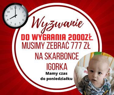 Main photo uploaded by the user