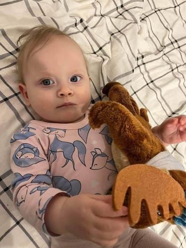 Zdjęcie główne wgrane przez użytkownika