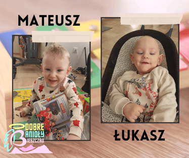 Main photo uploaded by the user