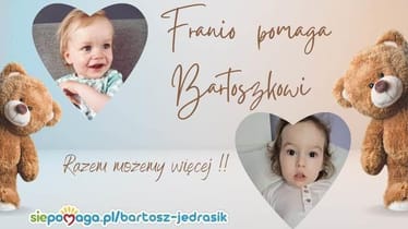 Main photo uploaded by the user