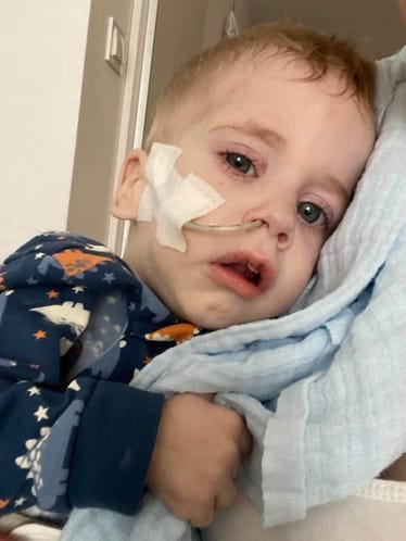 Zdjęcie główne wgrane przez użytkownika