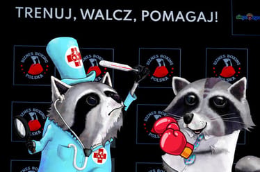 Zdjęcie główne wgrane przez użytkownika
