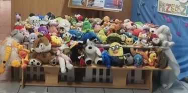 Zdjęcie główne wgrane przez użytkownika