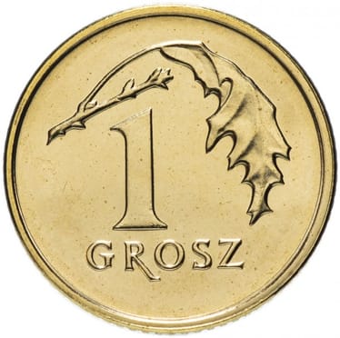 Zdjęcie główne wgrane przez użytkownika