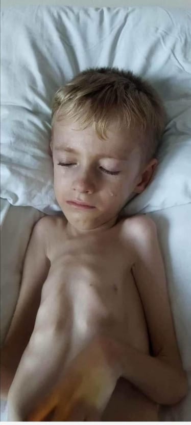 Zdjęcie główne wgrane przez użytkownika