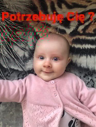 Main photo uploaded by the user