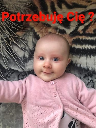 Zdjęcie główne wgrane przez użytkownika